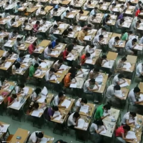 为什么我们明明可以借鉴他人经验，却仍偏爱自己摸索人生路？